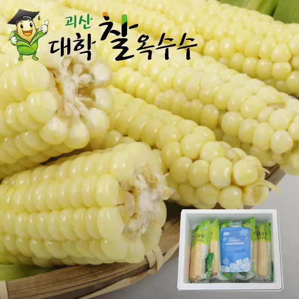 모단농장 냉동 괴산 대학찰옥수수, 30개_작년상품, 4k