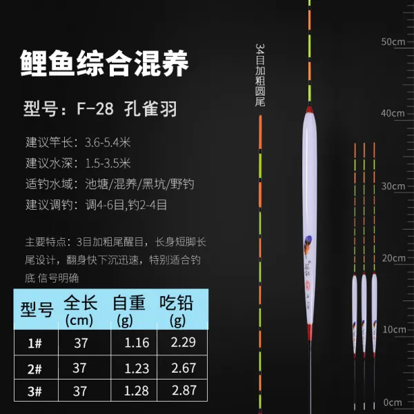 공작새 날개 부둥켜쥐고 쇄목 초강아지 영민 경입 붕어물밑낚시 떠도는 입 물고기 표백 굵어 눈에 띄는 3번단즈룩 F283굵게