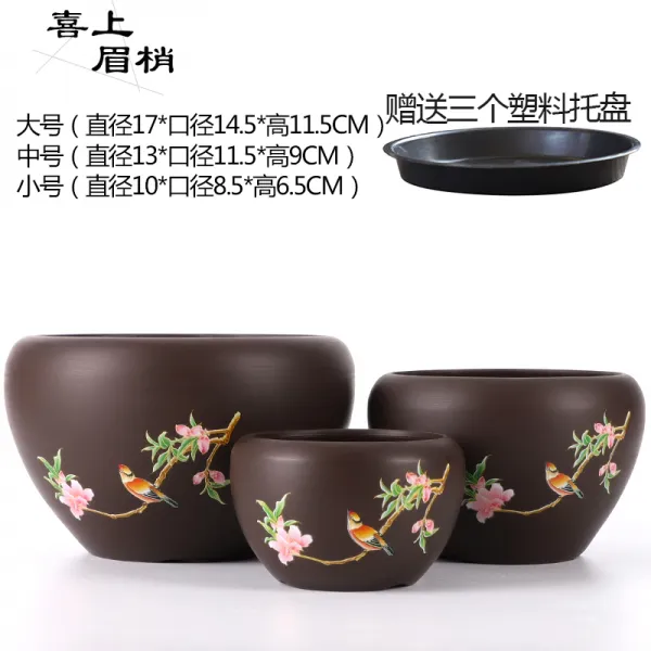 파파레이 도자기꽃화분특대 독창적 돌보아 주다 접시 큰사이즈 라지 빅사이즈 스킨답서스 조란 차이나 개성 다육, 자사 작은 속에 있다. 희색이 만면하