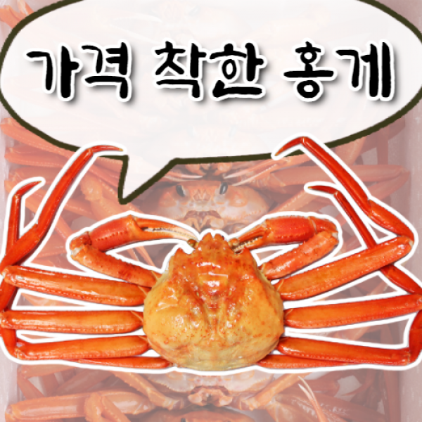 [당일조업] 가격 부담없이 홍게 맘껏 드세요! 구룡포 산지직송 자숙홍게, 고급형(대) 10마리