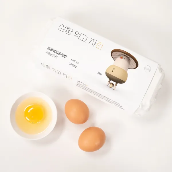 삼초마을 동물복지유정란 40구 상황먹고자란