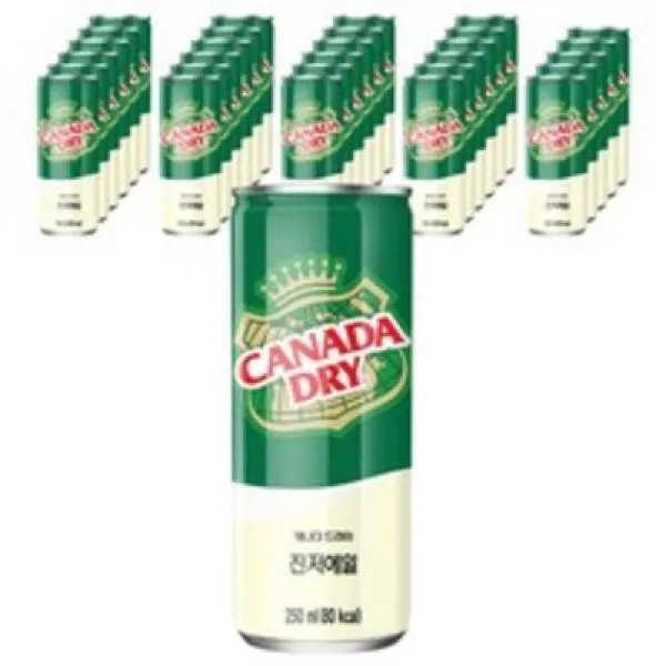 캐나다드라이 진저에일, 250ml, 90개