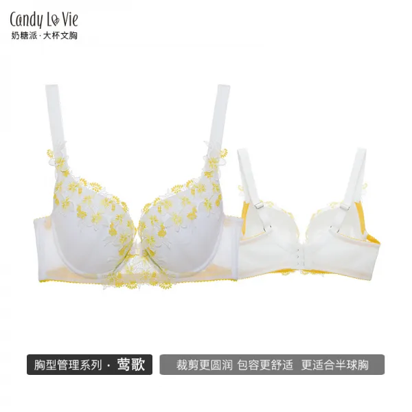 젖당파 대흉 볼륨업 얇은 자수 배기 이지 용량 안정 앵가 3색깔 빅 컵 속옷