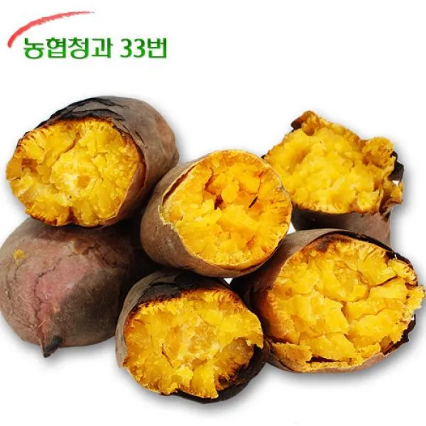 농협 [농협청과33번] 호박고구마 5kg 중 - 한입크기, 1