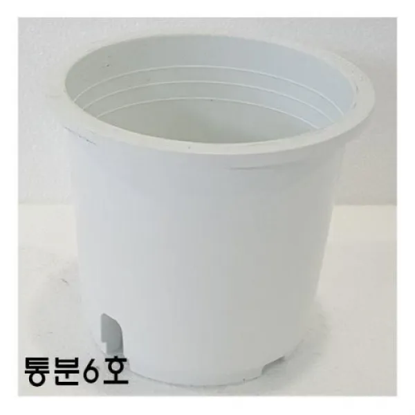 묶음판매 플라스틱화분 원예 50개 조경용품 통분6호 모종 분갈이화분 분갈이흙, 단품