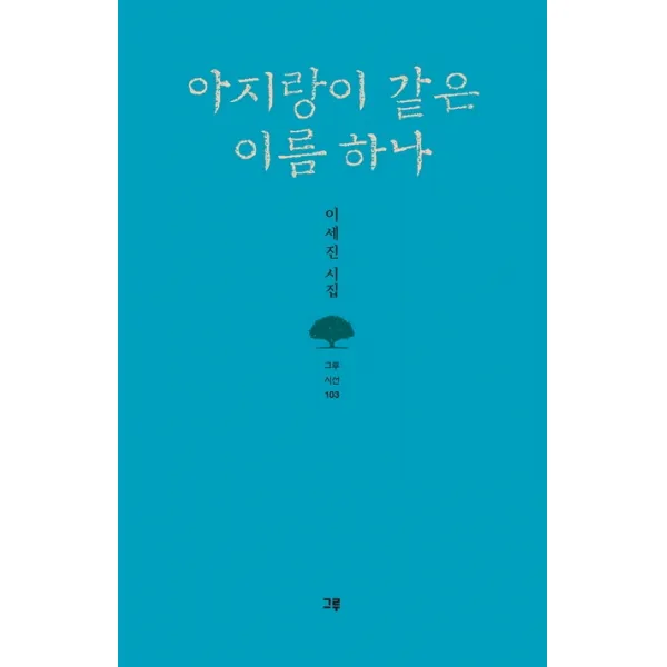 아지랑이 같은 이름 하나:이세진 시집, 그루