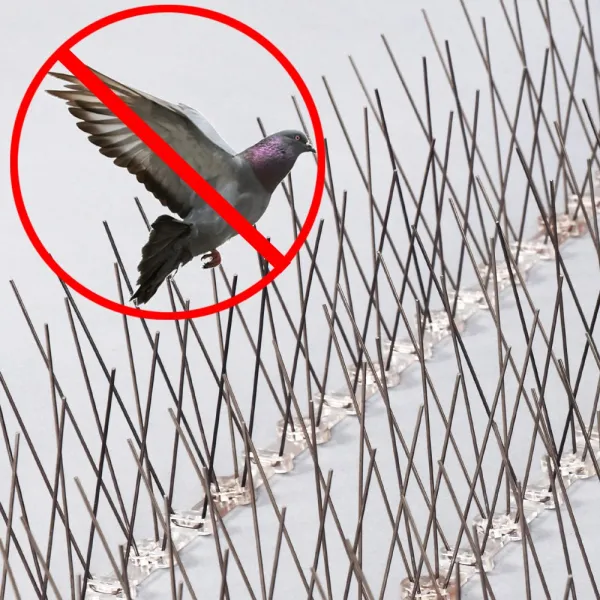 안티버드 에어컨 실외기 베란다 비둘기 퇴치 용품 퇴치망 버드 스파이크 퇴치법 12set