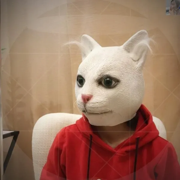 보리애플 침팬지 복면 나귀 카메라 안면보호마스크 화성 사람이 밉다 물고기 큐트 엽기적 악당 웃기다 분장 하객, E73-G84-A31- 화이트 고양이
