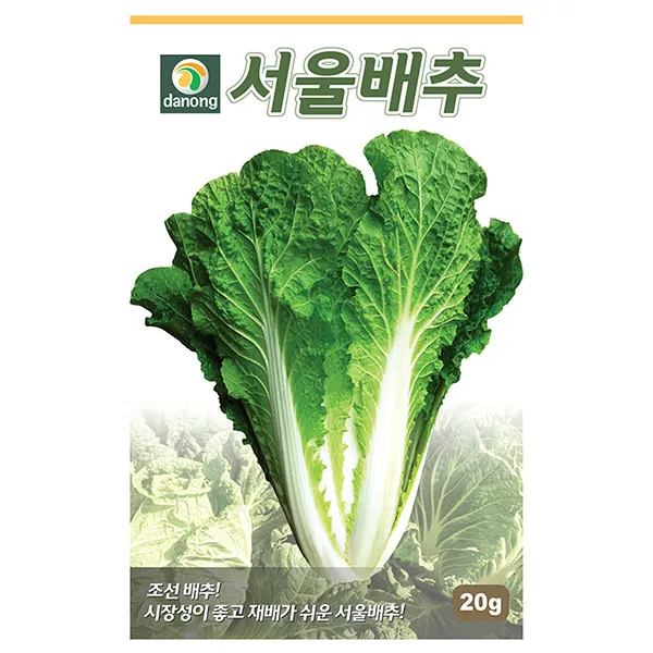 청로메인 상추 씨앗 2000립 - 상추씨앗 상추씨 청치마 쌈채소 야채씨앗 채소씨앗 채소재배 종묘 종자 베란다 텃밭 씨 씨앗, 17_다농_서울 배추(20g)