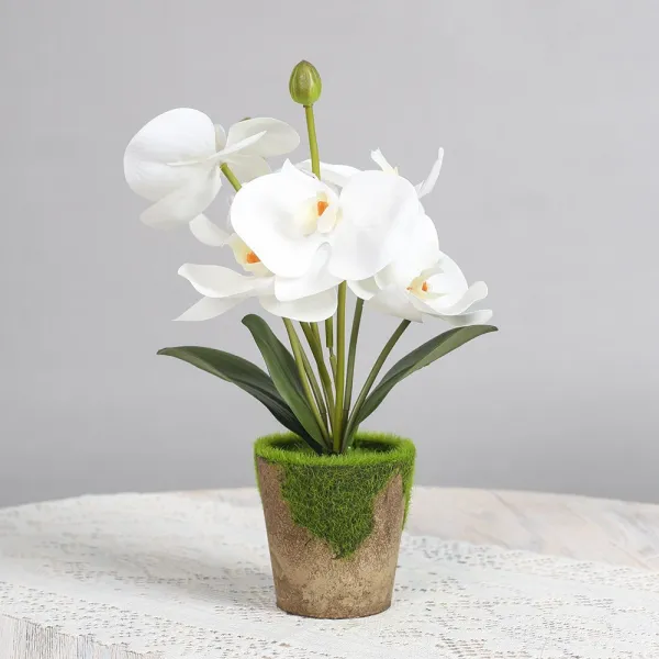 PH120258 FC 작은정원 난초 호접란 조화 화분(화이트) 조화 화분 조화화분 조화장식 인테리어조화 인조화분 꽃장식 조화꽃 인조꽃 인테리어화분 인테리어소품 장식화분 원예 집들이 개업선물 실내조경 묘목 조경나무 정원수 유실수 사철나무 소나무 단풍나무 나무울타리, 단일 색상