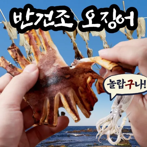 구룡포 자연건조 피데기 반건오징어 10마리 당일바리 반건조오징어, 800g