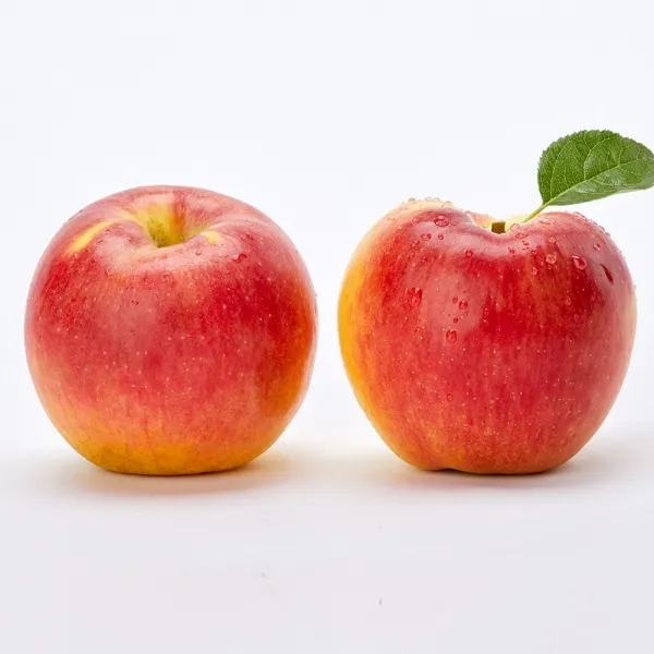햇 사과 빨간 부사 5KG (당일배송), 한입사과 5KG