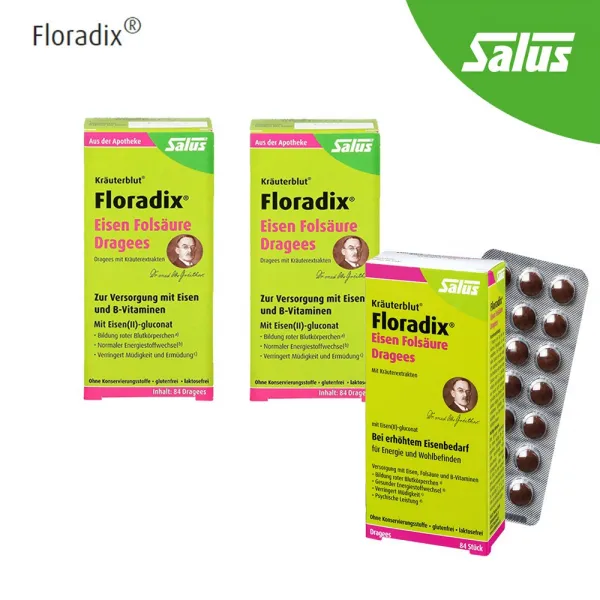 살루스 독일 철분 엽산 플로라딕스 Floradix 84정 독일직배송, 3박스