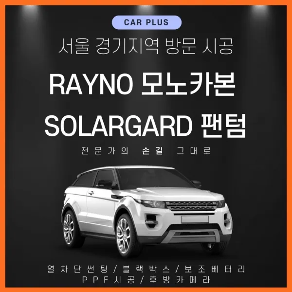 합리적in 레이노 솔라가드 서울경기 방문시공 자동차썬팅 윈도틴팅 시선차단필름 썬팅필름, 레이노 모노카본, 기존필름제거(대형SUV)