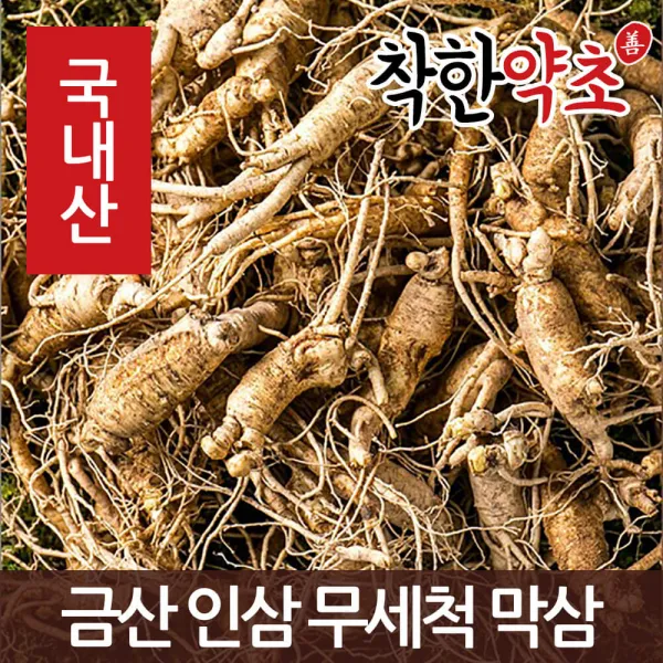 착한약초 금산 인삼 50종 수삼 삼계용 인삼주키트 선물세트, 1개, 1I8X_금산 인삼 무세척 못난이 막삼 1kg