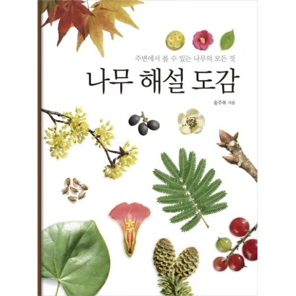 나무 해설 도감:주변에서 볼 수 있는 나무의 모든 것, 진선BOOKS