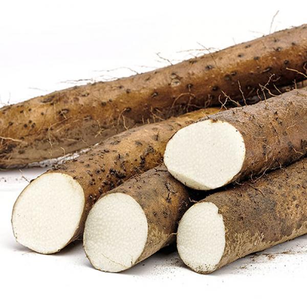 마다솜 2019년 햇 안동마, 1개, 04_장마 중품 2kg