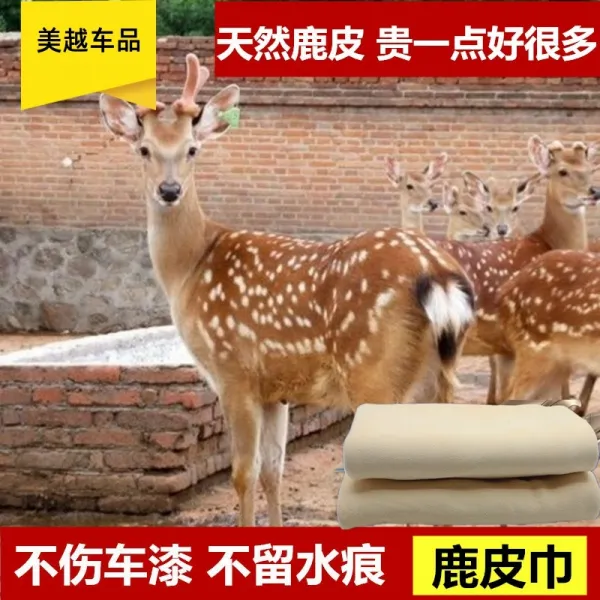 세차타월 두꺼운 샤무아타올 차량용클리닝수건 빅사이즈 물흡수 세차 타월 스웨이드가죽 닭껍질 천세탁 전용타올