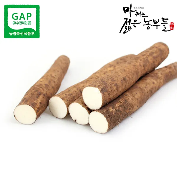 21년햇마 GAP인증 장마(상품 중품 2kg/3kg) 마캐는젊은농부들 참마 생마, [장특2] 장마 특품 2kg