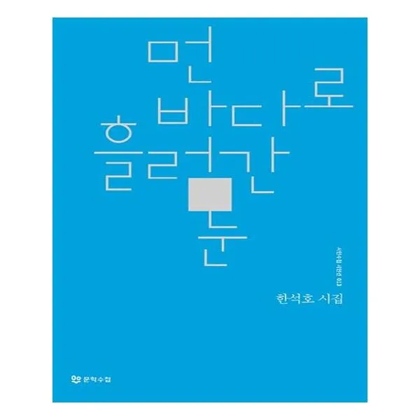먼 바다로 흘러간 눈