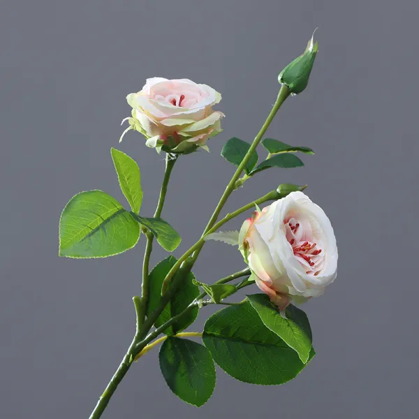 디더블유 거실장식 장미꽃 3헤드 꽃망울 유러피안 티 결혼기념일 길 이끌다 실내 라이트 바칸디핑크