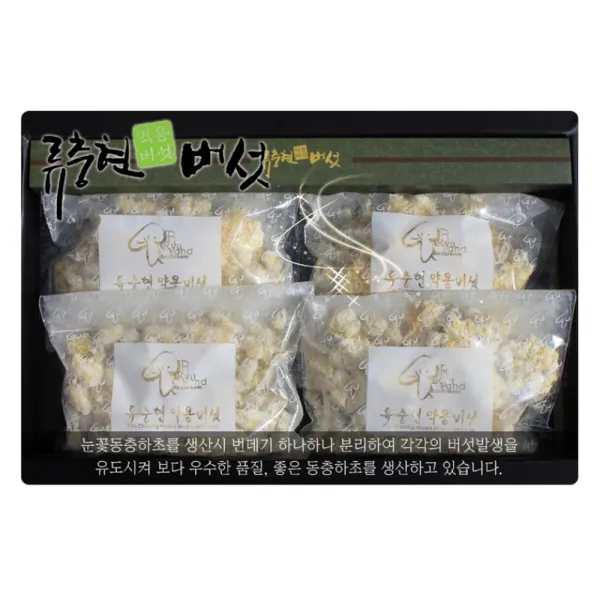 Nd5추천lf23Yv222_눈꽃 동충하초(국내산) 200g, 단일 수량