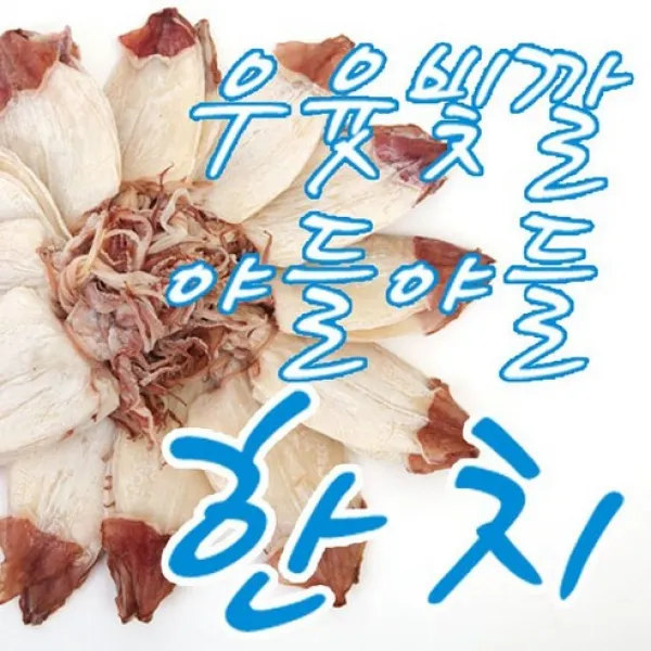 노가리킹 AAA등급 최상급 한치, 1팩, 한치-중500g(약25~30마리)