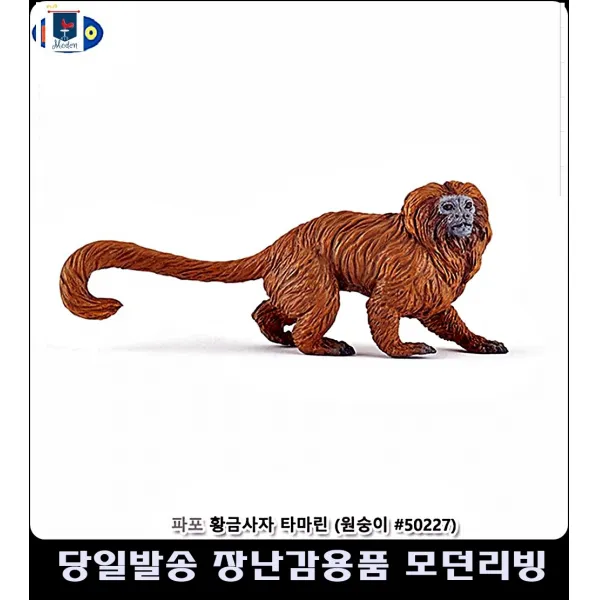 장식동물모형 맘카페 프랑스 퀄리티 좋은 미취학 아동 황금사자 피규어 좋은미취학