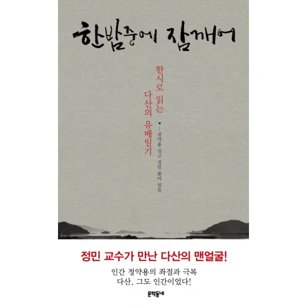 한밤중에 잠깨어:한시로 읽은 다산의 유배일기, 문학동네