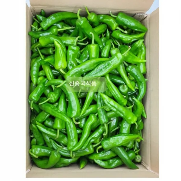  신중국식품 동북매운고추 라메이즈 라죠 중국고추 1개 2.5kg