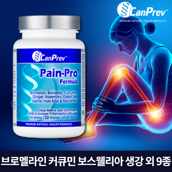 캔프레브 페인프로 120정 소염 진통제 천연성분 9종 브로멜라인 보스웰리아 커큐민 생강 항염 관절염 부종 완화, 1개