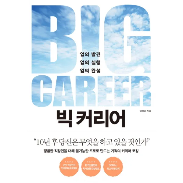 빅 커리어:업의 발견 업의 실행 업의 완성, 다산북스