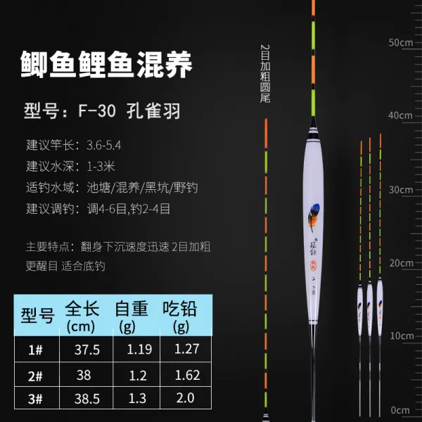 공작새 날개 부둥켜쥐고 쇄목 초강아지 영민 경입 붕어물밑낚시 떠도는 입 물고기 표백 굵어 눈에 띄는 3번단즈룩 F30굵게