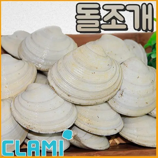 제이에스컴퍼니 만족도높은 돌조개 조개, 1