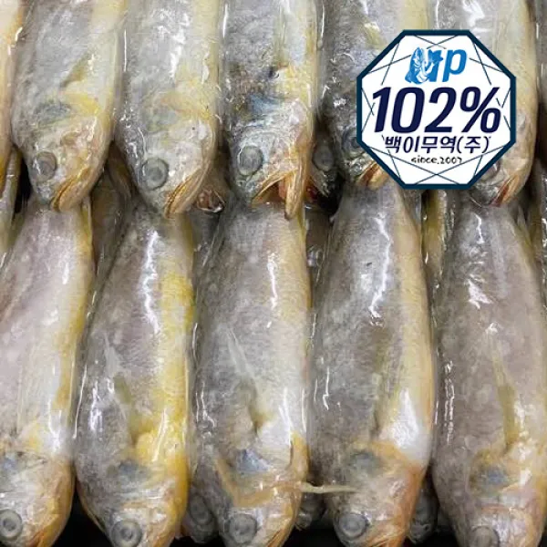 고소한 참조기 3.6g-4kg 52/60마리 내외
