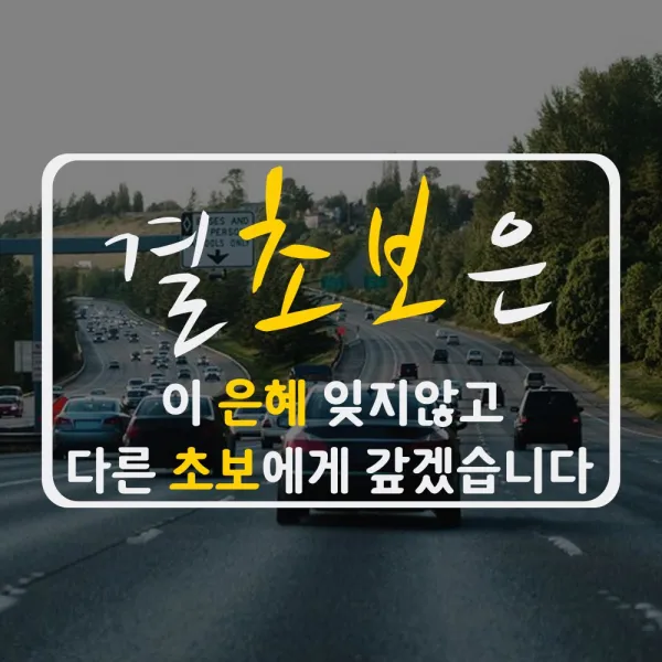 포원 차량용 초보운전 스티커 자동차 튜니용품, 극한초보