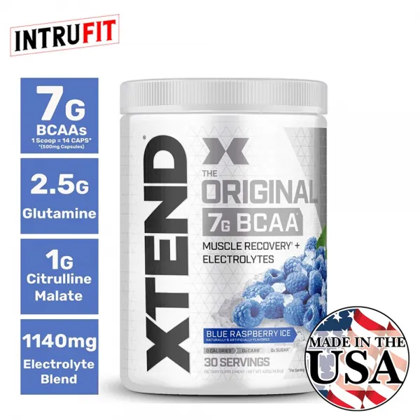 엑스텐드 BCAA 글루타민 운동후보충제 390g 블루베리, 단일상품