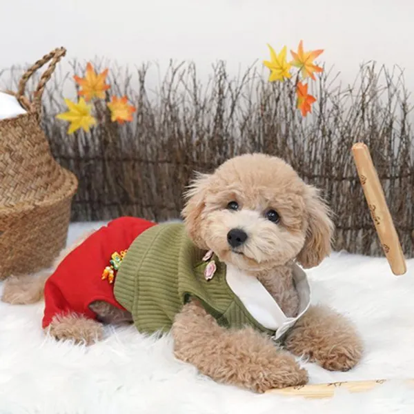 Bjb941837강아지 새신랑한복 그린 애견의류 설날옷 코스듐 명 L