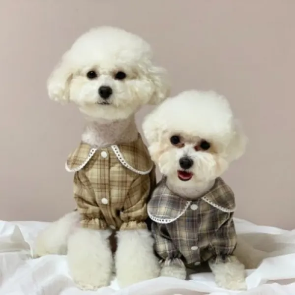  텐바이텐 러블리댕댕 체크셔츠원피스 M 블루