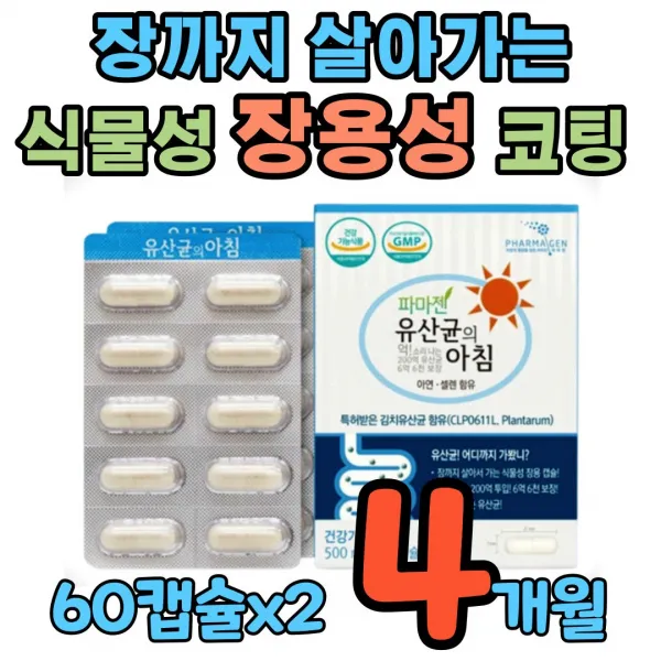 장까지 살아 가는 프로 바이틱스 식물성 장용성 캡슐 위산에 강한 녹지않는 락토바실러스 플란타럼 유당불내증 유당없는 김치 유산균 장관리복합 식품 배 복부 장 에가스찰때 잦은 방귀, 60정, 2박스
