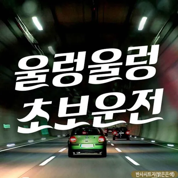 베CA_자동차스티커 텍스트 울렁울렁 초보운전 반사시트지 자동차문구스티커 차량스티커 차량용스티커 자동차용품 반사스티커%&#W7954mL, 무옵션<^D#>, 무옵션<^D#>