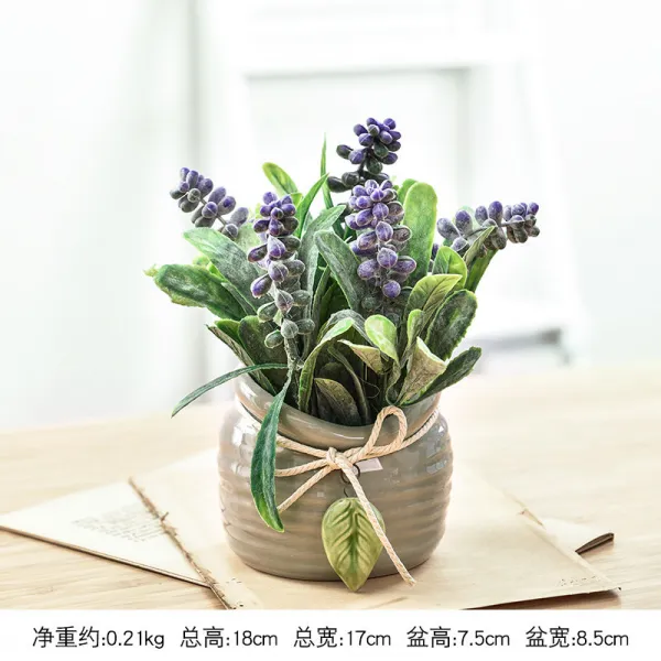부잣나무 사무용 실내 데스크 좋은 양꽃 분재 작은 녹색 식 부귀죽 수배 라 식물 많은 고기, 보라색 진주 풀