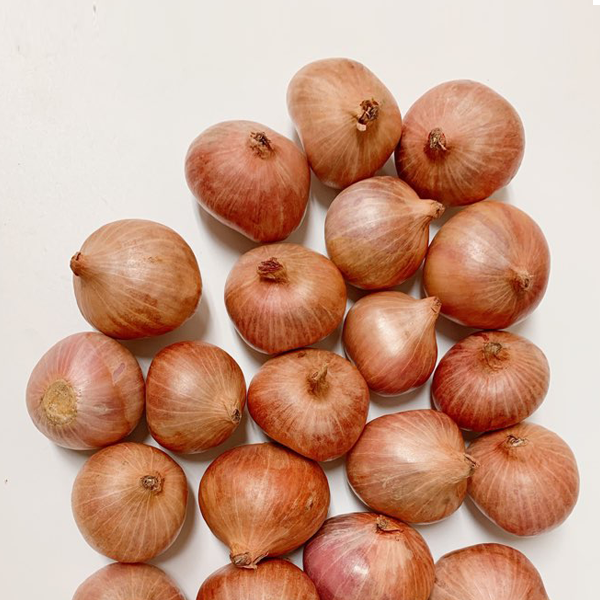 홍홍 중국식품 전통양파 1kg+100g 샬롯 모충 1팩 1.1kg