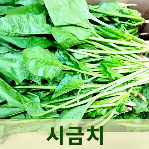 자체브랜드 시금치4kg