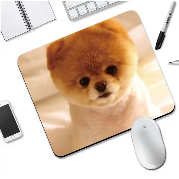 꿈이부자 '펜티엄기념부스트' 외부에서사용가능 노트북 스마트폰 태블릿pc 노트북cpu용 5 글자의 밑뿌리 시계 마우스패드 300x250mm 3mm 강아자