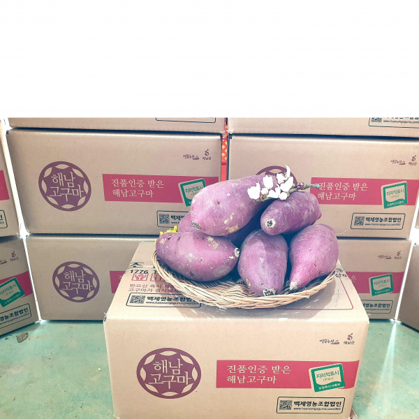해남다애네농장 산지직송 꿀고구마, 1box, 10kg중상(60g~120g)