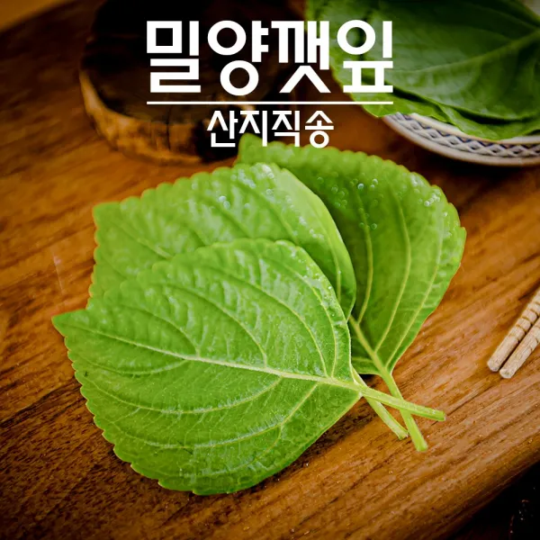 국내산 깻잎 밀양깻잎 1kg 산지직송