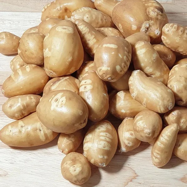 해남 무농약 인디언감자 1kg/2kg/3kg 손질세척해서 더욱 편리한 아피오스, 2kg