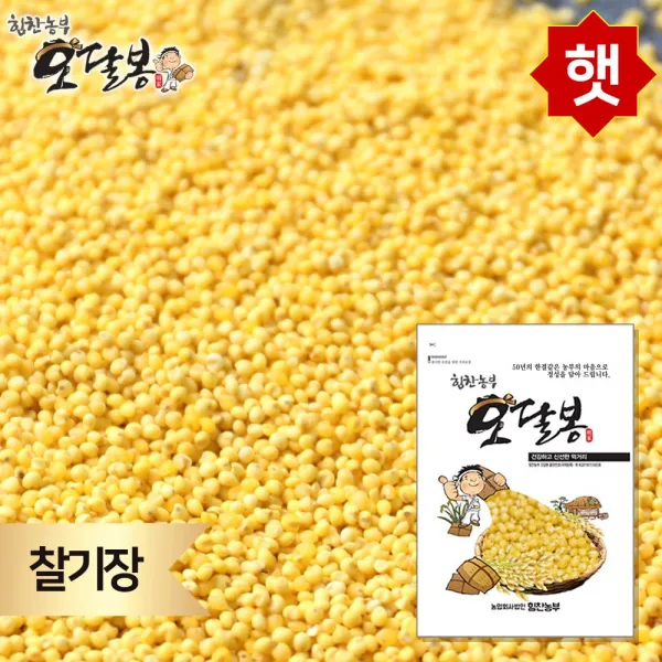 힘찬농부오달봉 찰기장 기장쌀 수입산 중국산 1개 3kg