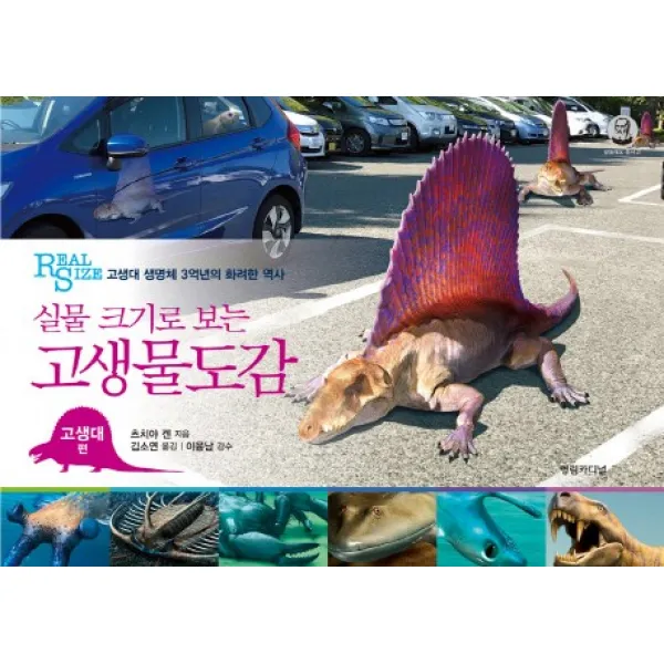 실물 크기로 보는 고생물도감(고생대 편):고생대 생명체 3억년의 화려한 역사, 영림카디널